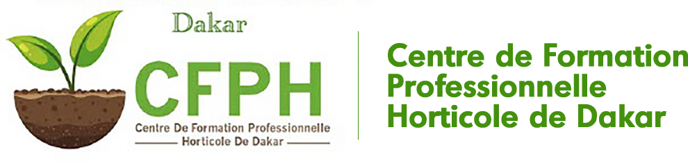 Plateforme de formation en ligne - CFPH de Dakar